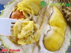 Inti basah durian