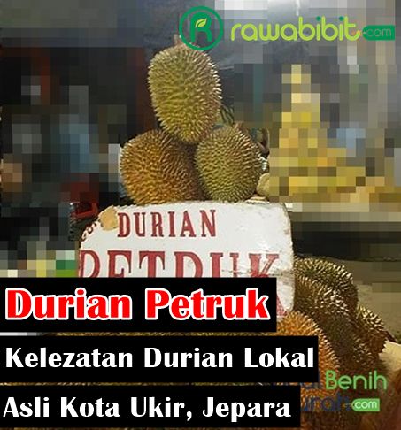 Sejarah Durian Petruk