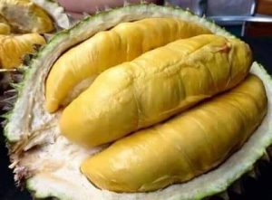 Buah Durian Bawor Unggul