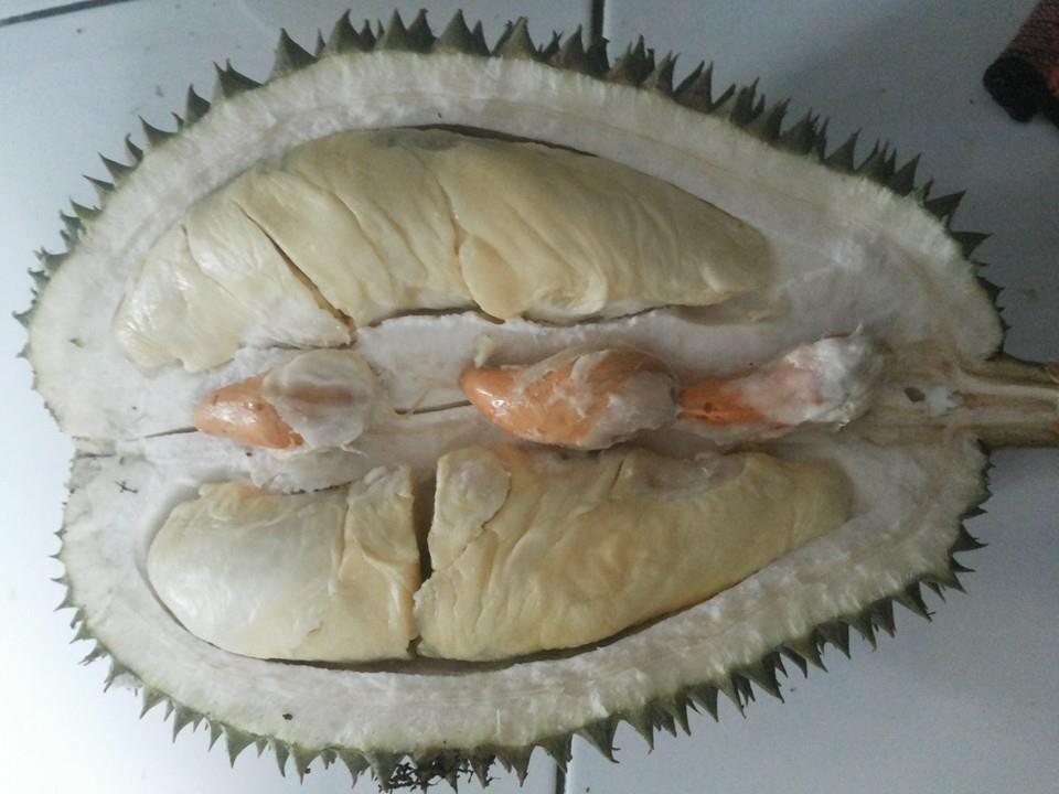 Durian Petruk super